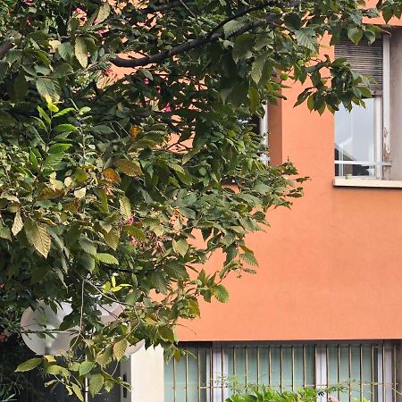 Апартаменти Brera Cocoon Мілан Екстер'єр фото